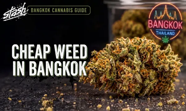 Cheap Weed in Bangkok — Stash BKK Bangkok cannabis guide hero, cannabis bud close-up
