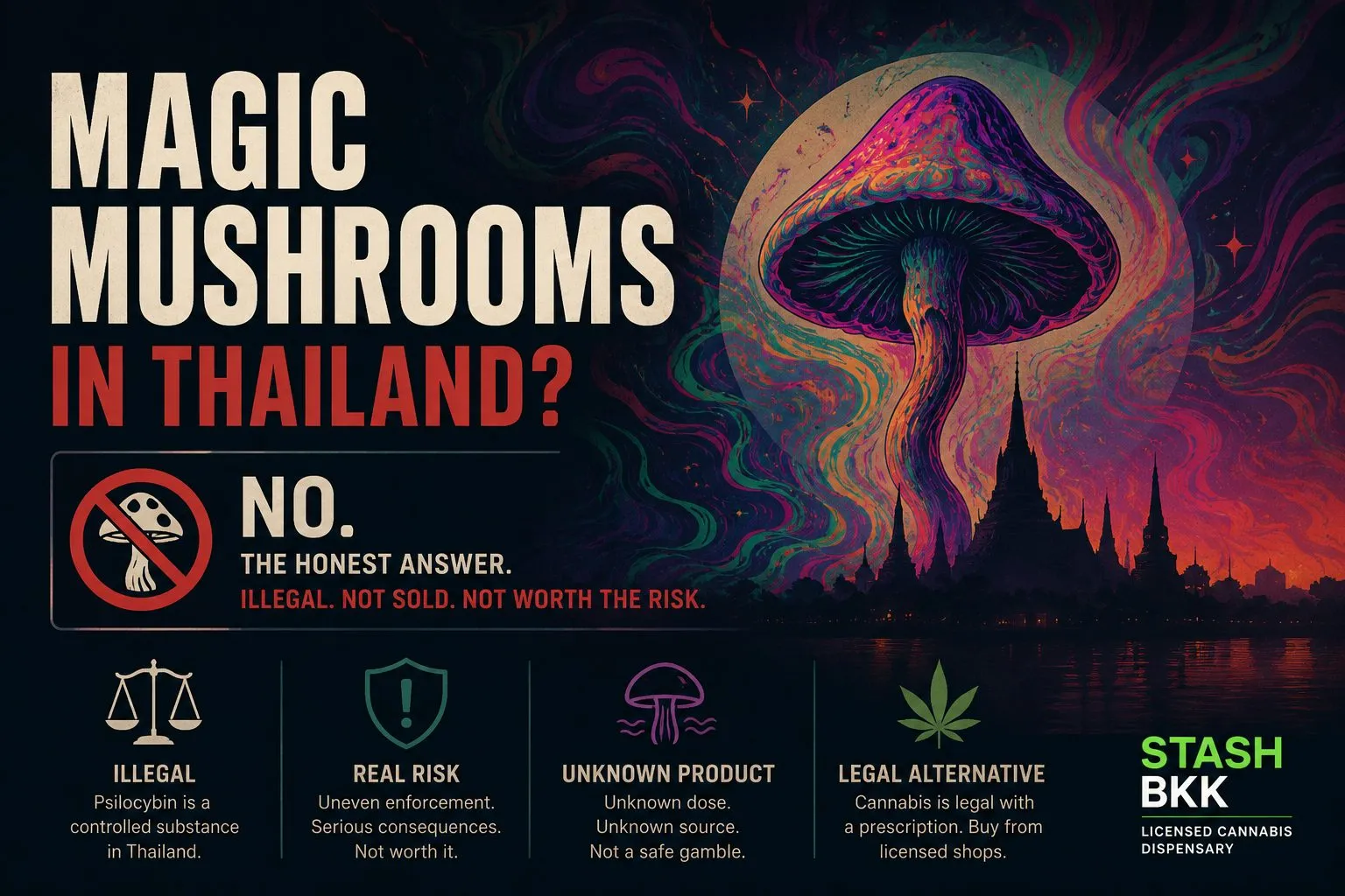 Magic mushrooms are illegal in Thailand — guide by Stash BKK