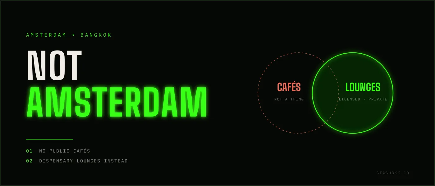Bangkok has no Amsterdam-style weed cafes - licensed dispensary lounges fill the role instead